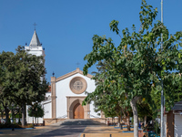 Moreras en la Plaza de la Iglesia en La Cala del Moral