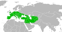 mapa rozšíření neandrtálců
