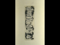 Převzato z CD: Ancient Inscriptions - Voices from the Biblical World, BAS, 2006.