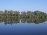 Zwaakse Weel
