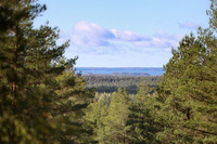 Harjulta näkymä Pyhäjärvelle