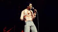 Johnny Nash - Szerzői jogok Terry Lott/Sony Music Archive