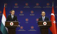 A magyar és a török diplomácia vezetőjének közös sajtótájékoztatója AP/Turkish Foreign Ministry