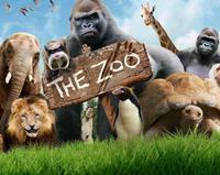 ZOO