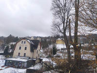 Kácení a ořez lip poblíž hotelu Jeseník.