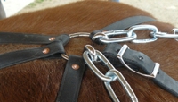 anneau porte trait