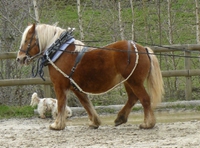 harnais agricole