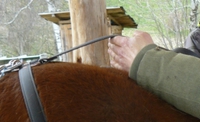 back strap