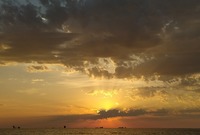 Ogni giorno porta in sé una nuova alba