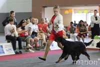 EDS Brusel - Kofi Ex. 1, res. CAC, res. CACIB