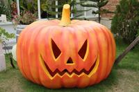 Halloween tök.
