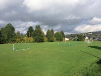 Gressbane stor