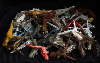 龙之根 Dragon Roots. Sculptures in different kind of woods, glass, wax, porcelain, stoneware, bronze, 3D printing