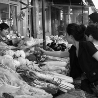 Marknaden i Caochangdi i beijing