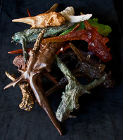龙之根 Dragon Roots. Sculptures in different kind of woods, glass, wax, porcelain, stoneware, bronze, 3D printing