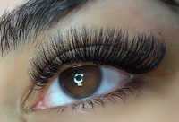 3D Lashes