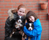 Onze kids met puppies