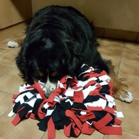Snuffelmat