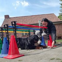 (leren) kruipen