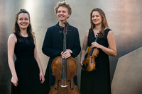 Avin Trio © Niklas Grüter
