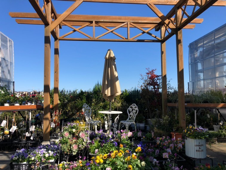 花のある癒しの空間 トマト園芸レイクタウン店 花のある癒しの空間 トマト園芸レイクタウン店