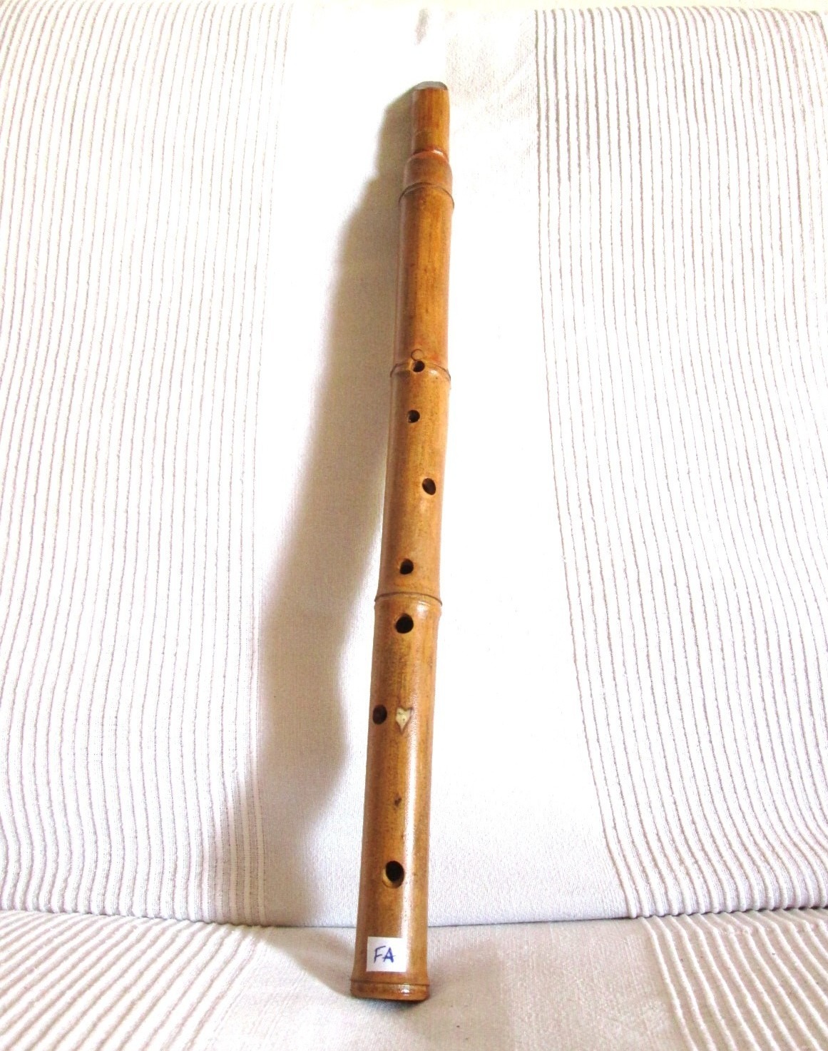 Bamboo in Italy (Florence) in Italien