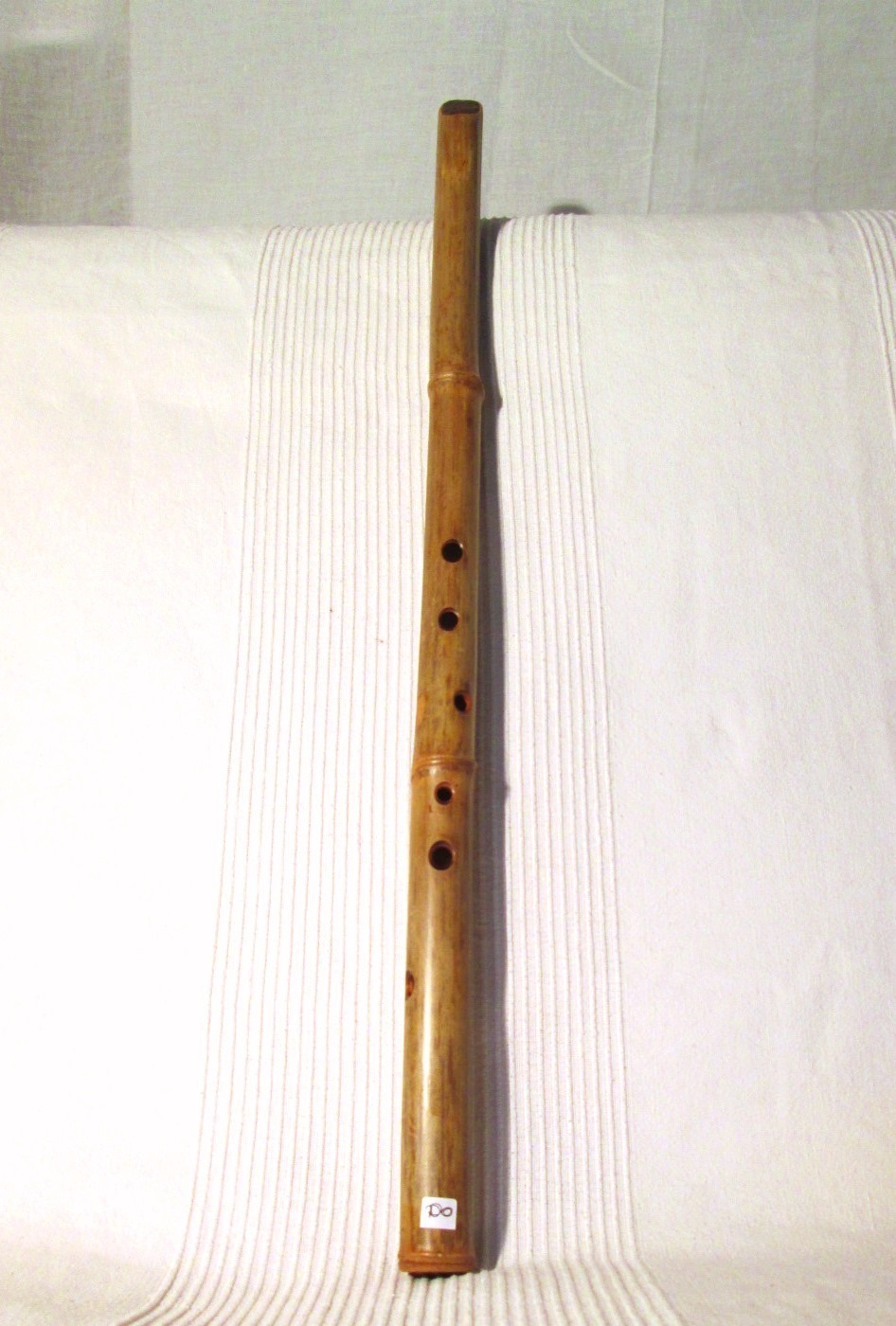 Bamboo in Italy (Florence) in Italien