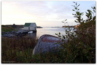 Salvaneset - September 2014.