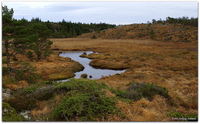 Flott natur langs Burmavegen - November 2014.