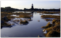 Mortholmen, Karmøy. Foto: Erling Jensen