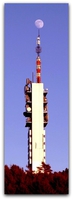 Foto: Jostein Kolnes.