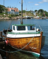 Svarttrost