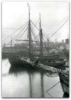 Kjeringholmen. Foto: Statsarkivet i Stavanger.