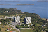Foto: Widerøes flyfotosamling/Stavanger byarkiv.