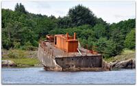 Bildet ble tatt 25. juni 2016 ved Gismarvik i Tysvær kommune. Foto: Erling Jensen.