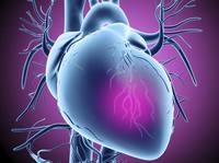 Malattie Cardio Vascolari