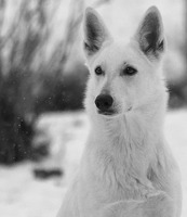 Kida (c) Anniina Ahonen