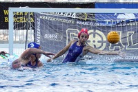 El waterpolo, el deporte de equipo con menos riesgo de infección del coronavirus | PFotoàlbums