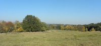 Widok z drogi do Kostrice