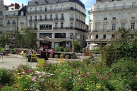 Aux beaux jours, les fleurs s'épanouissent sur la très minérale place du Ralliement.