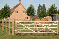 Poort Paddock: geïmpregneerd naaldhout