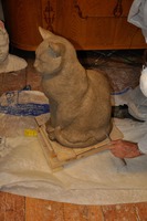 Katten
