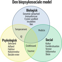 Den Biopsykosociale Model Www Deltagif llesskabet dk den-biopsykosociale-model-www-deltagif-llesskabet-dk