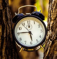 Photo by Yaniv Knobel on Unsplash