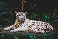 Photo by Smit Patel on Unsplash