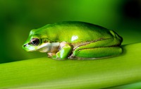 Photo by David Clode on Unsplash