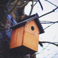 Photo by Hello I'm Nik on Unsplash