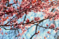Photo by Karolien Brughmans on Unsplash
