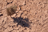 Photo by Wolfgang Hasselmann on Unsplash