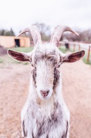 Photo by Edgar Chaparro on Unsplash